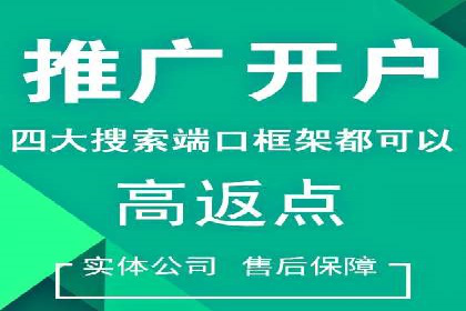 信息流广告公司案例分析：精准投放策略解析